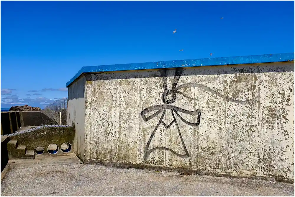 Bigoudène sur un mur Bigoudène sur un mur - Street Art à St Guénolé - Finistère