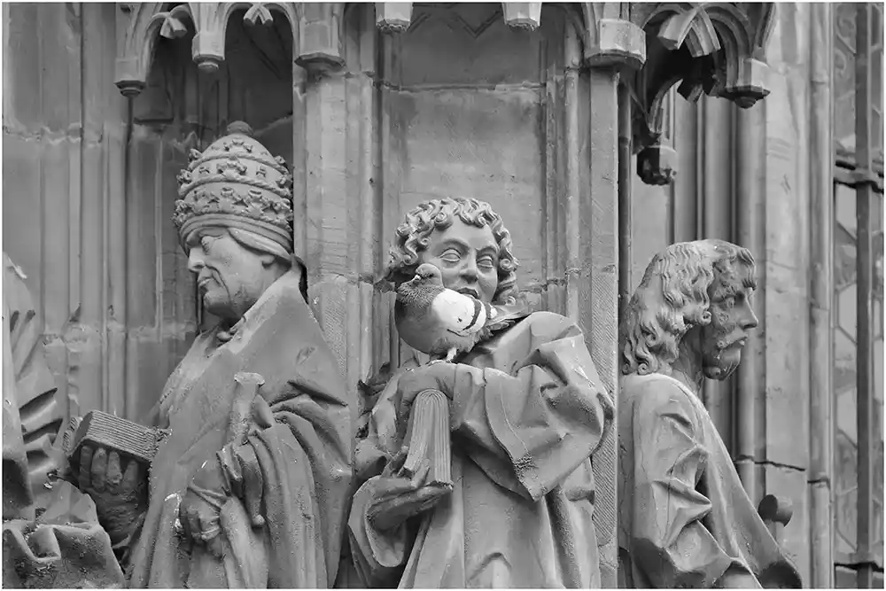 Photo de rue insolite en noir et blanc Pigeon et statue - Strasbourg Pigeon et statue