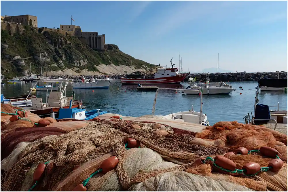 Le petit port de Corricella