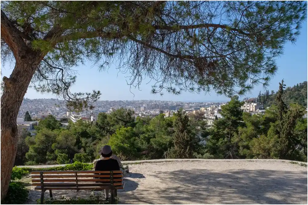 Dans les jardins de l'Acropole