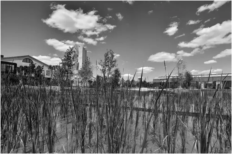 Luma – Parc du Luma