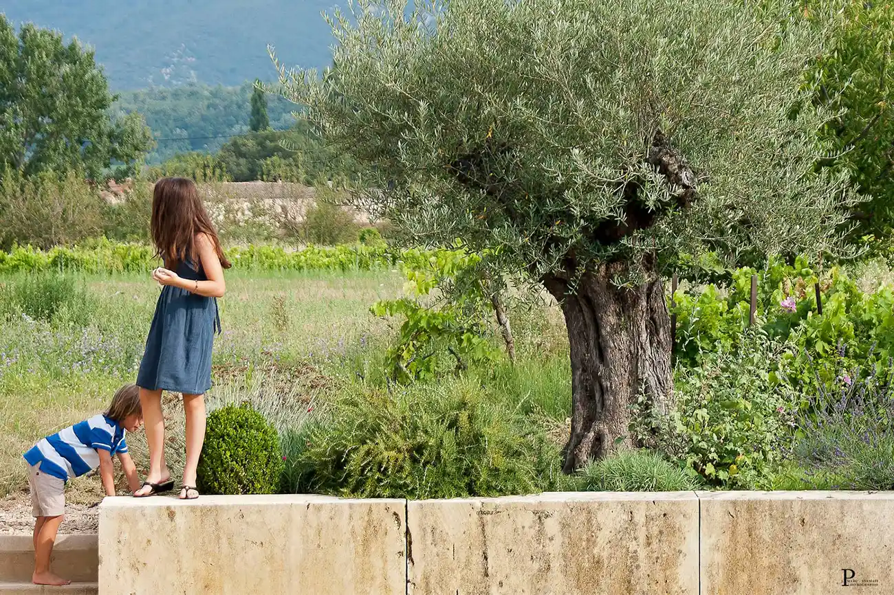 Illustration d'un article sur les locations de prestige en Provence.