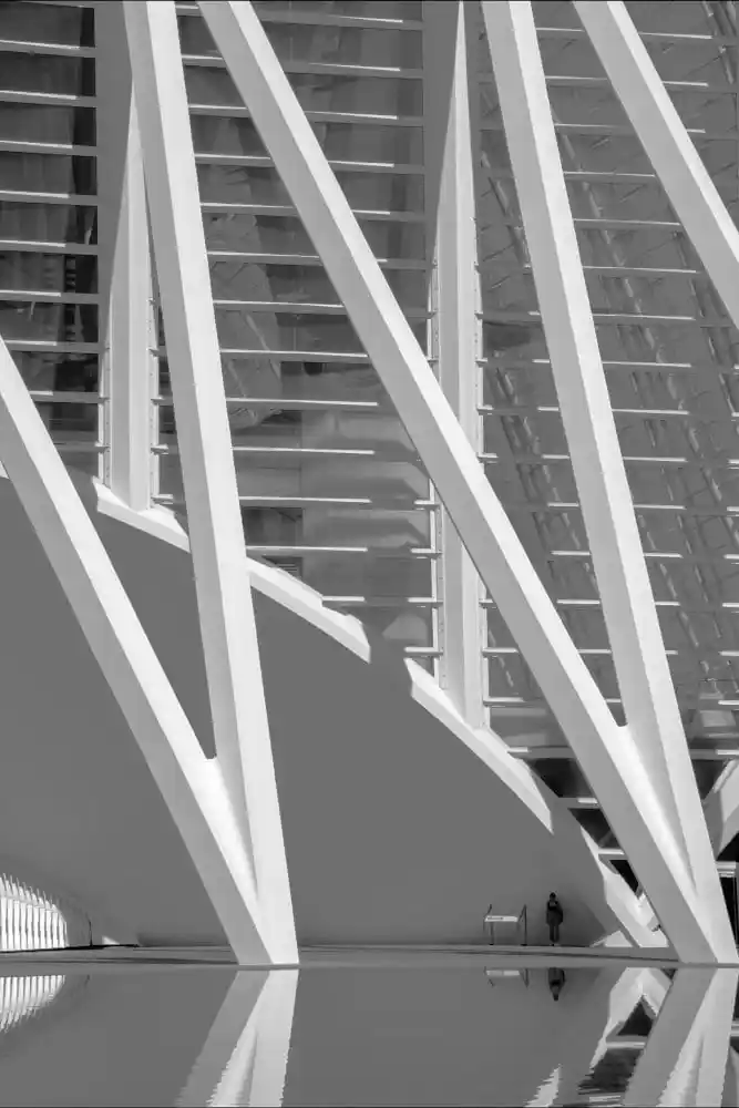 Musée des sciences Valencia - Architecte Santiago Calatrava Valls